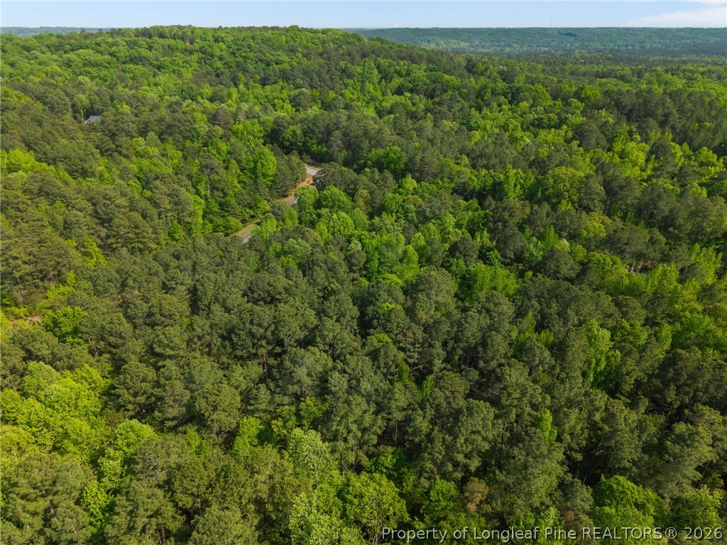 125 Lennox Loop Rockingham, NC 28379 - Photo 11 of 14 a view of a lush green forest with lots of trees