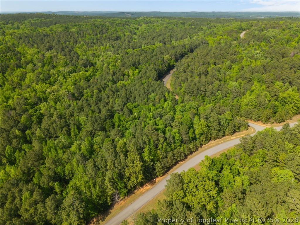 125 Lennox Loop Rockingham, NC 28379 - Photo 12 of 14 a view of a field with an outdoor space