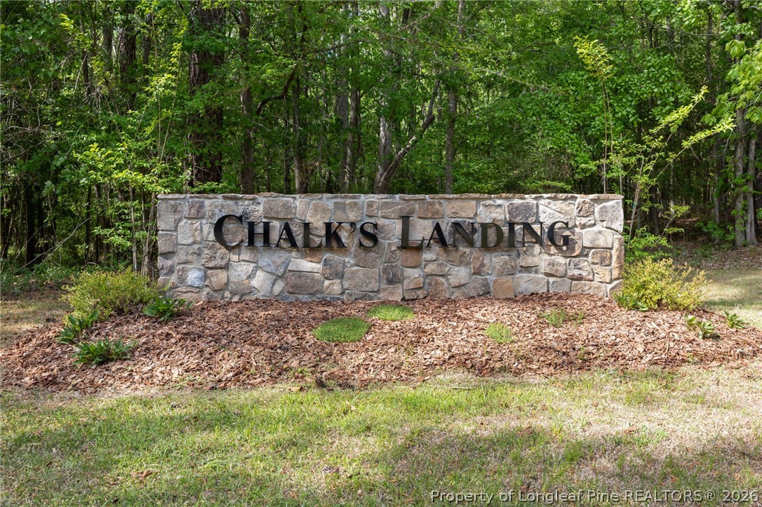125 Lennox Loop Rockingham, NC 28379 - Photo 2 of 14 a view of under a small yard