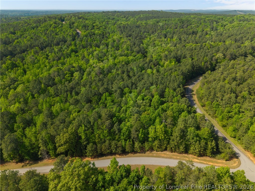 125 Lennox Loop Rockingham, NC 28379 - Photo 5 of 14 a view of outdoor space