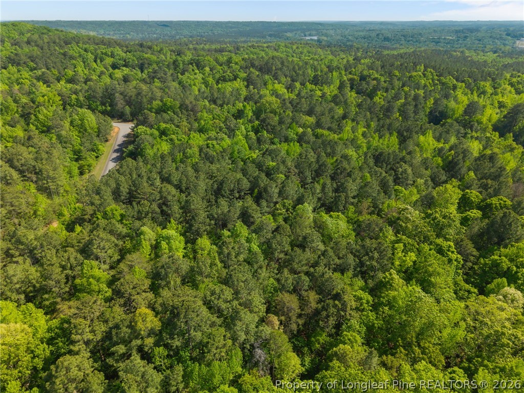 125 Lennox Loop Rockingham, NC 28379 - Photo 10 of 14 a view of a green field with lots of bushes