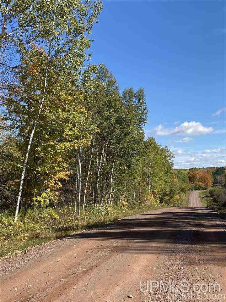 T-wi Wi 54534 Road Hurley, WI 54534 - Photo 28 of 35