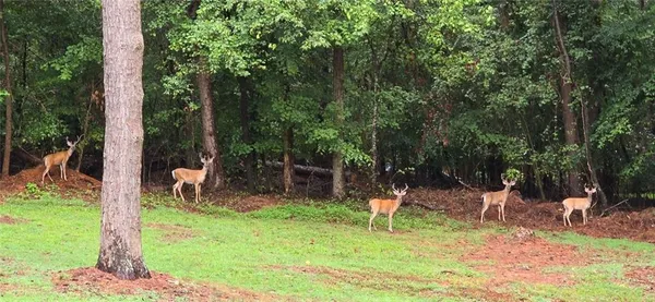 $519,900 | 4279 Red Fox Trail, Oakwood, GA 30566