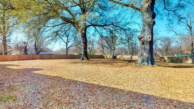 a view of yard with trees