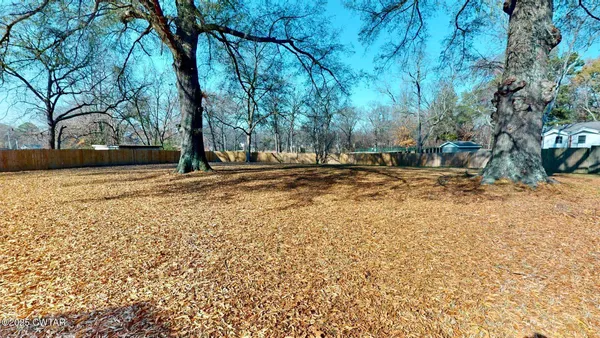 a view of a yard with trees