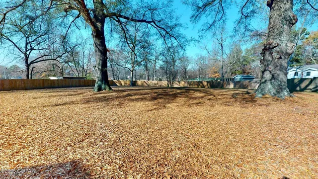 a view of a yard with trees