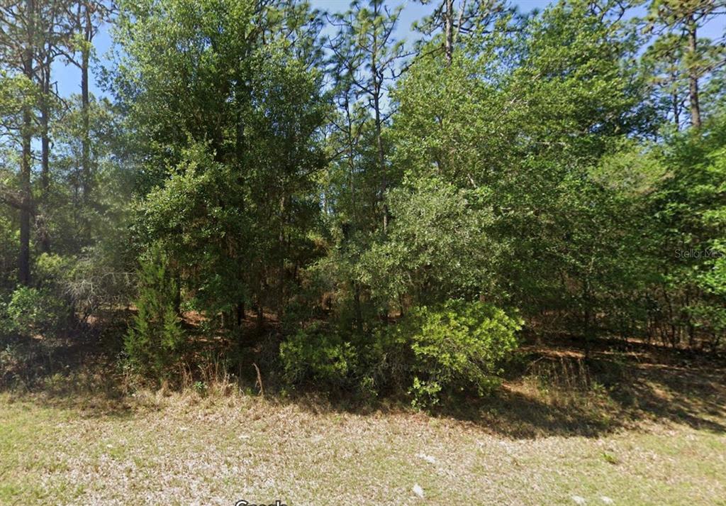 3 Southwest 102nd Street Road Dunnellon, FL 34431 - Photo 1 of 1 Gallery Image 1