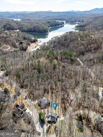 a view of a swimming pool with a garden