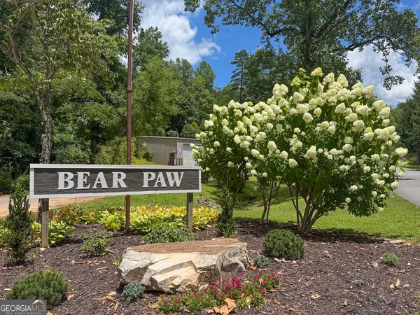 a view of a lake with a city