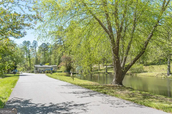 a picture of a white and white photo