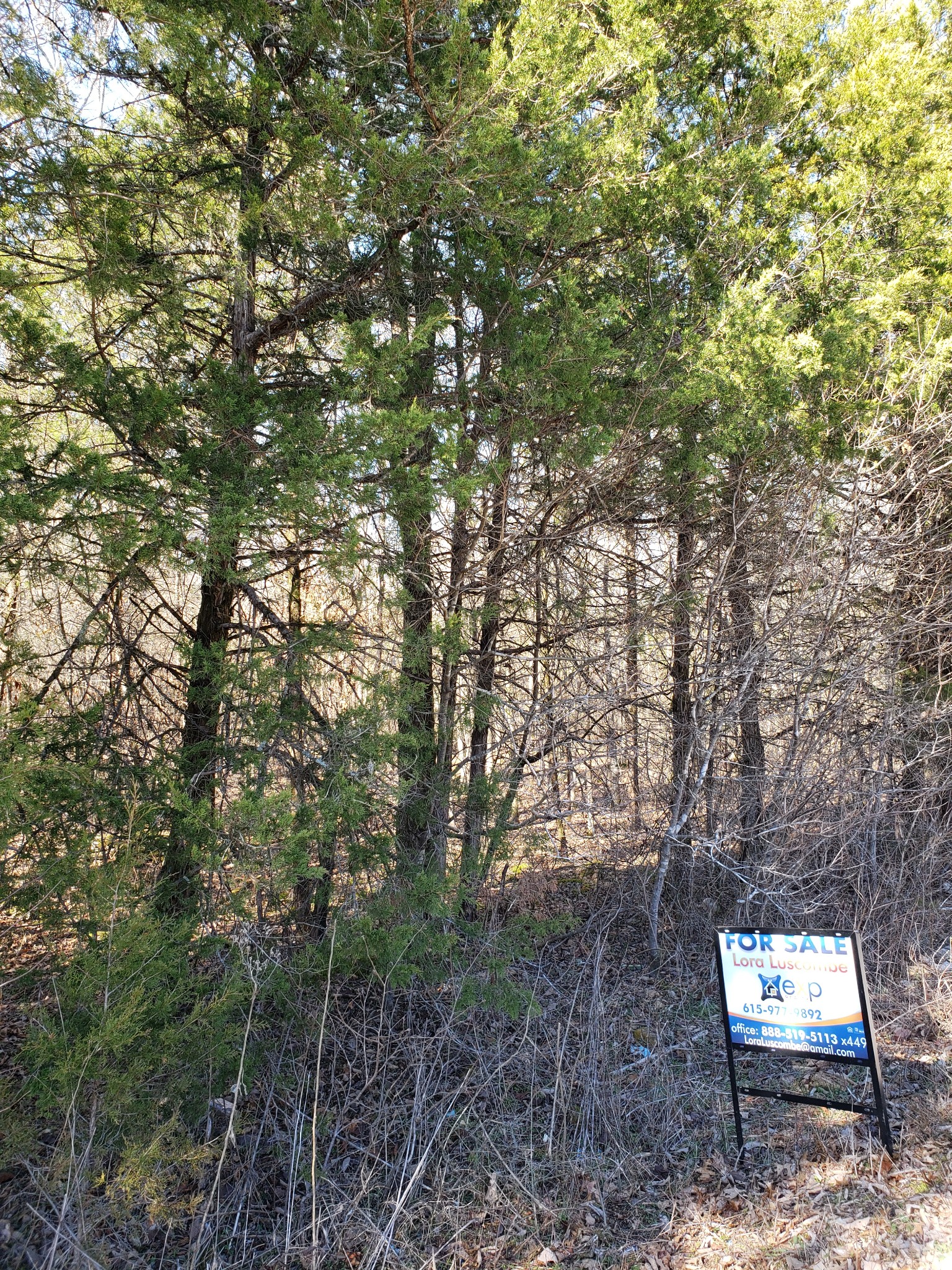 0 Rally Hill Columbia, TN 38401 - Photo 1 of 4 Gallery Image 1