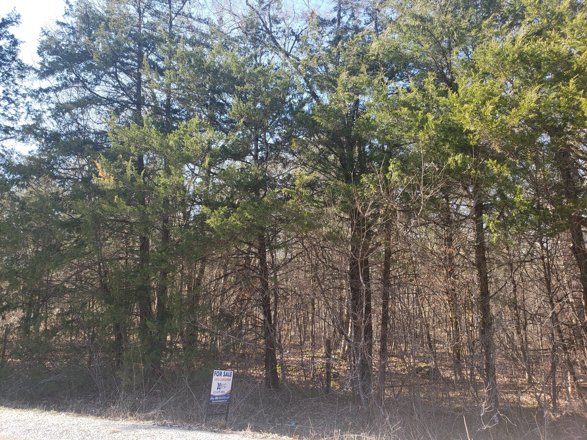0 Rally Hill Columbia, TN 38401 - Photo 2 of 4 Gallery Image 2
