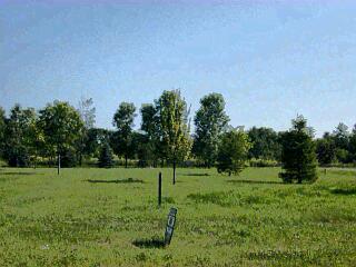 2733 Linco Road Stevensville, MI 49127 - Photo 1 of 1 Primary Photo
