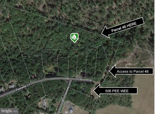 a view of a yard with large trees