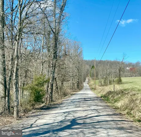 a view of a backyard of the house