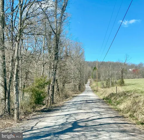 a view of a backyard of the house