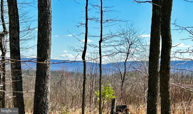 a view of outdoor space with wooden fence