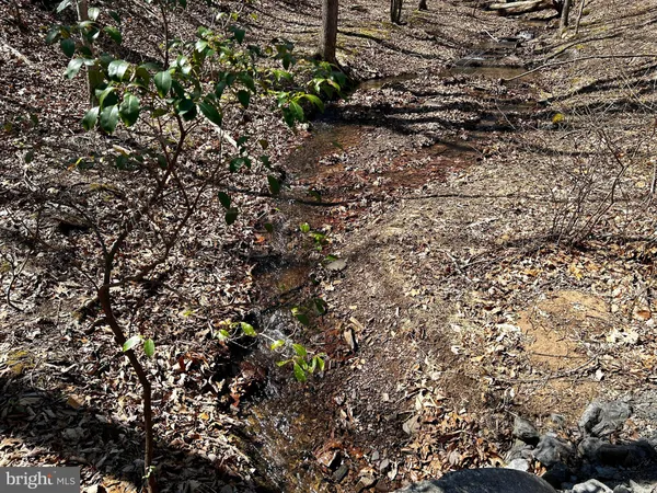 a view of a backyard of the house
