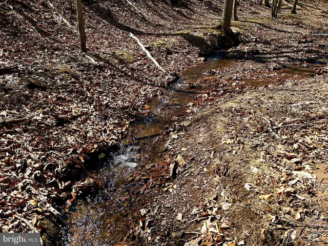 a view of a backyard of the house