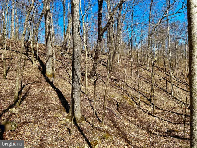 a view of outdoor space with seating area