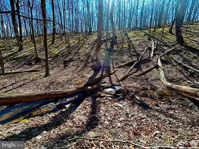 a view of a backyard of the house