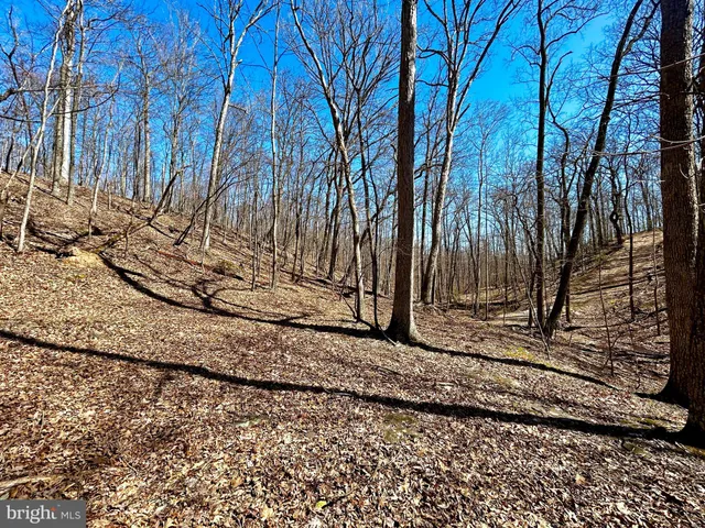 a view of a backyard with of trees