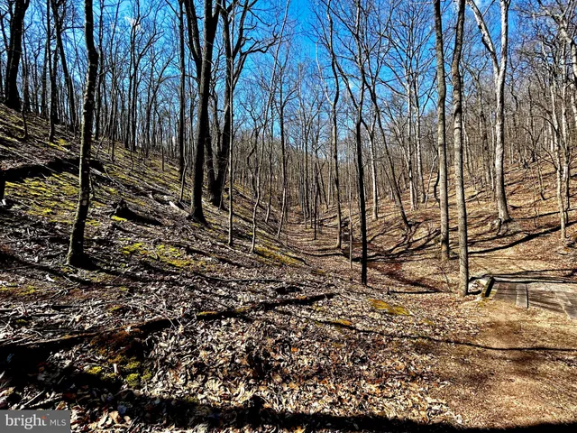 a bathroom with a granite countertop sink and a large mirror