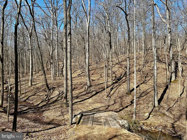 a view of a floor to ceiling window