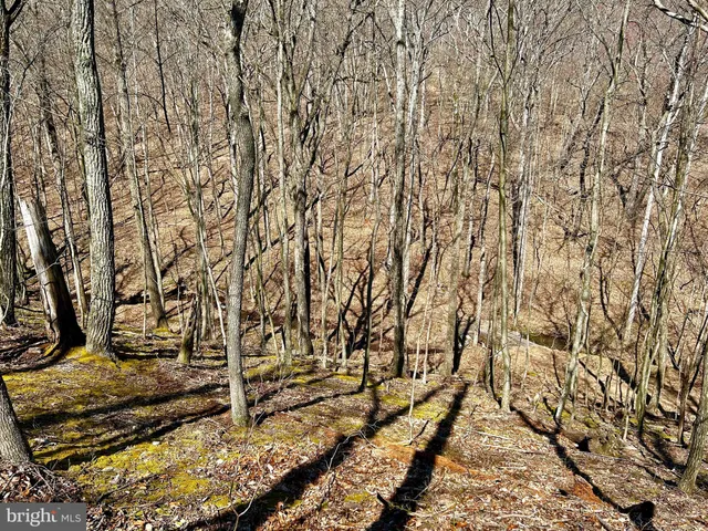 a view of outdoor space with wooden fence