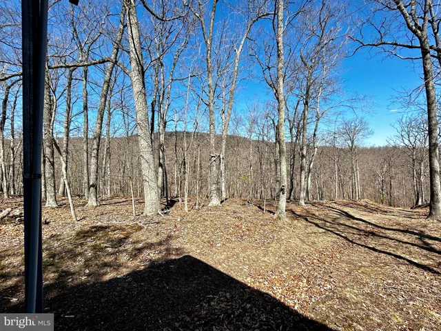 a view of a yard with trees