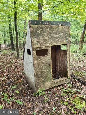 a view of a forest with a bench