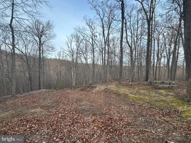 a view of a yard with plants and wooden fence