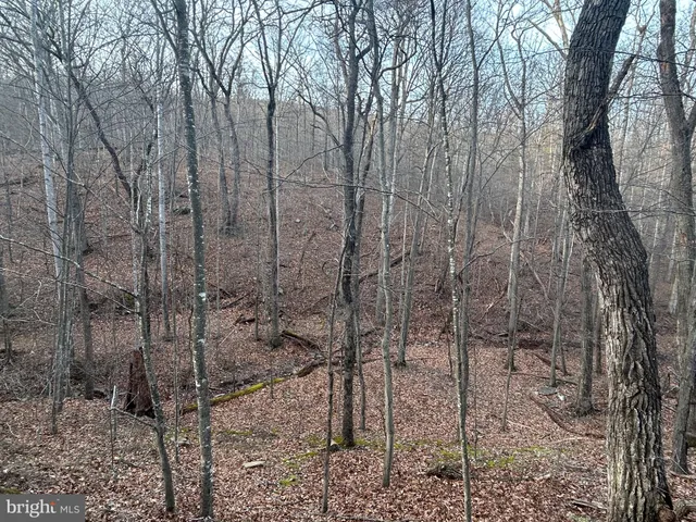a view of outdoor space with swimming pool and trees