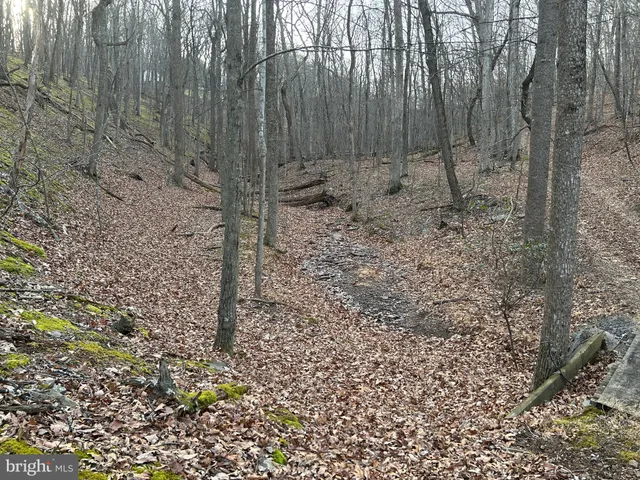 a view of a backyard with sitting area