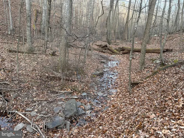 a wooden fence covered with tall trees