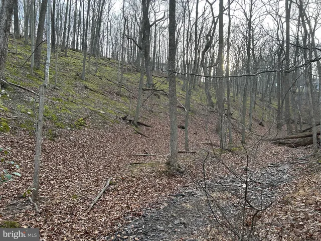 a view of barbeque grill and seating space