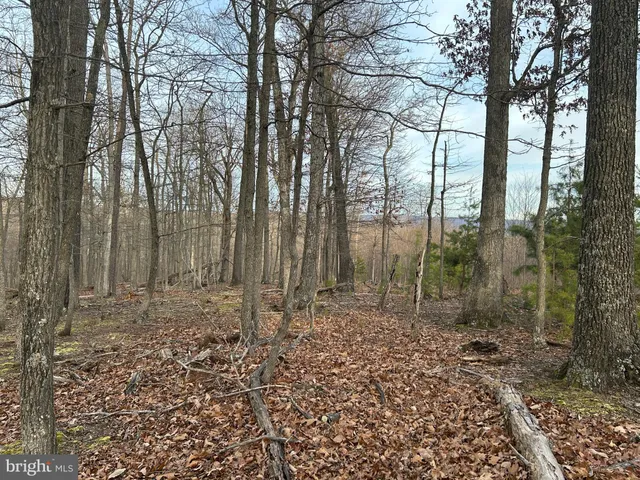 $199,900 | Lot 46 Peewee Lane, Hedgesville, WV 25427