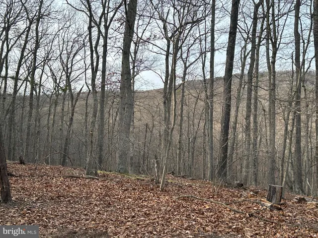 $199,900 | Lot 46 Peewee Lane, Hedgesville, WV 25427