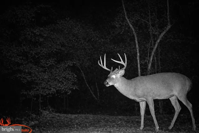 $199,900 | Lot 46 Peewee Lane, Hedgesville, WV 25427