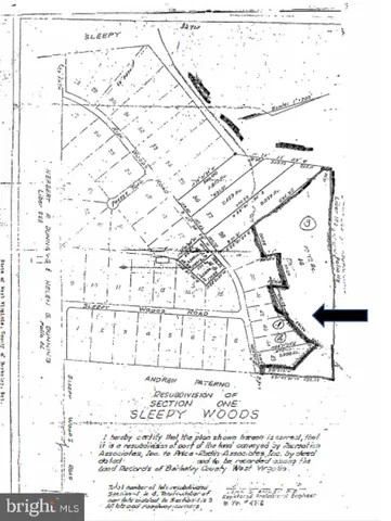 a view of large yard