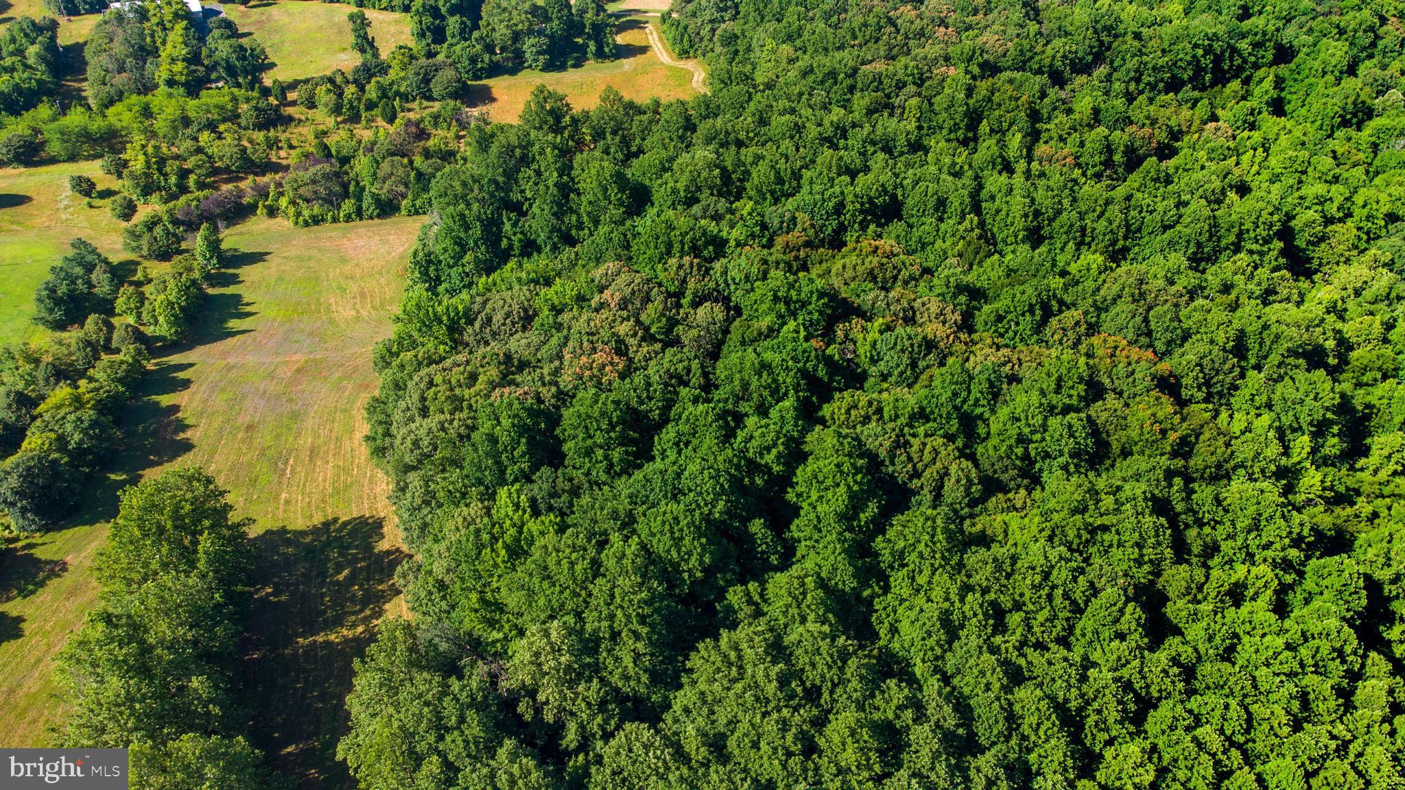 17801 Croom Road Brandywine, MD 20613 - Photo 31 of 32 Gallery Image 31
