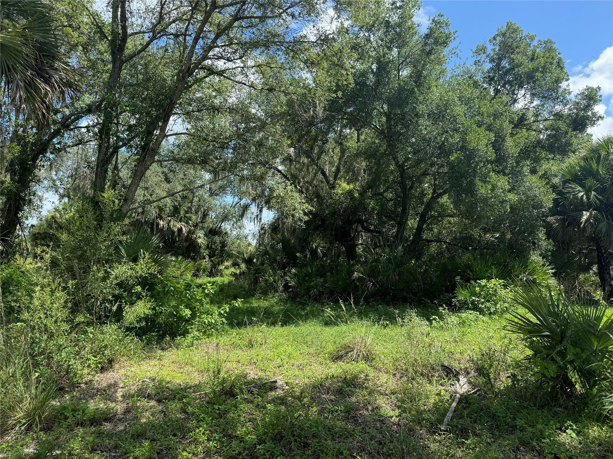 0 Co Road Clewiston, FL 33440 - Photo 32 of 40 Photo 32