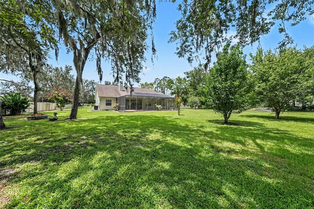 6913 Colley Road Odessa, FL 33556 - Photo 10 of 46