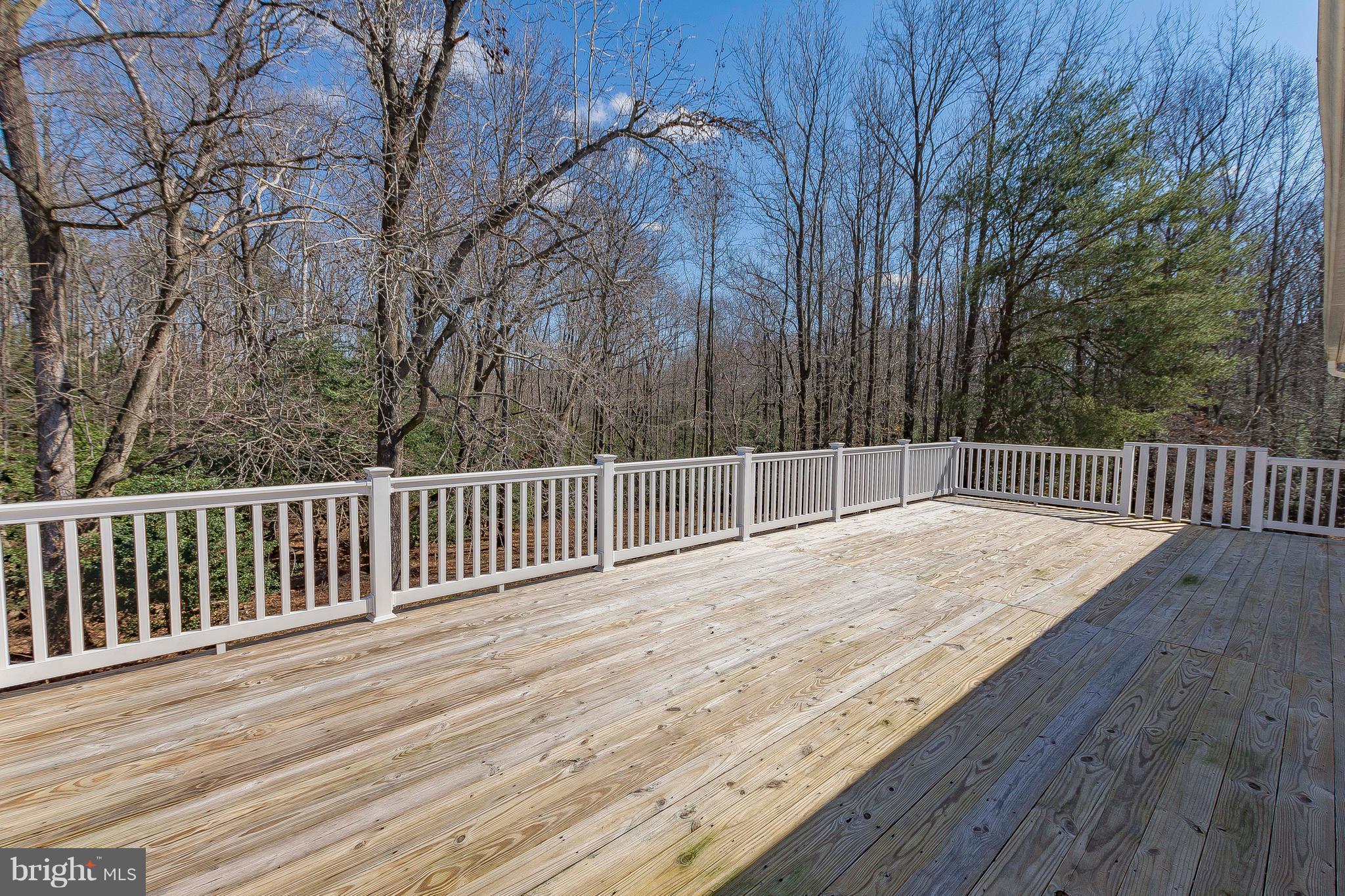920 Adelina Road Prince Frederick, MD 20678 - Photo 11 of 30 Exterior (Rear)