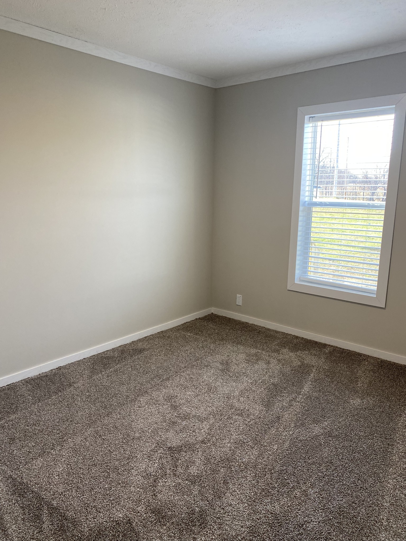 1668 Gamaliel Road Red Boiling Springs, TN 37150 - Photo 15 of 25 an empty room with a window