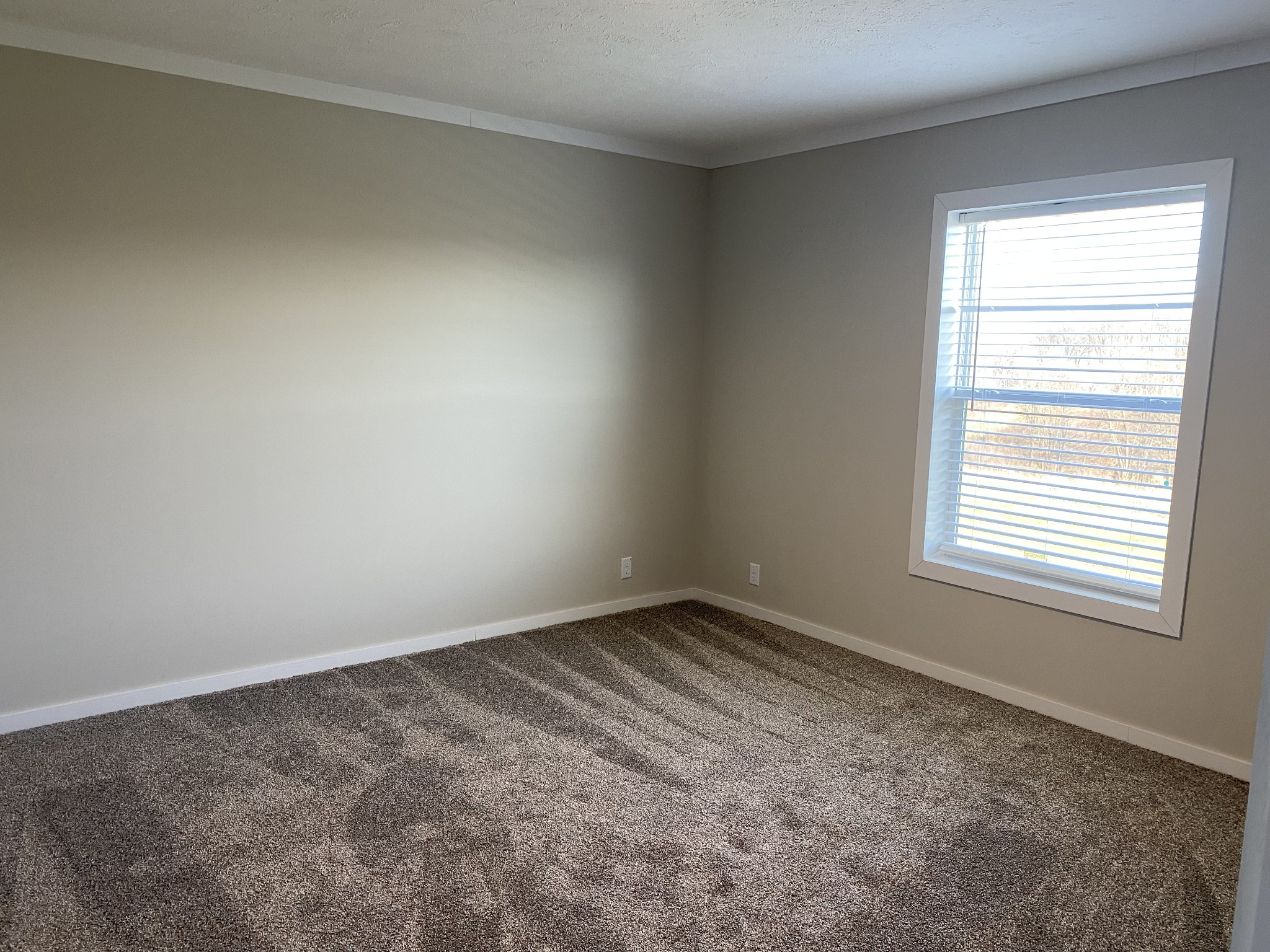 1668 Gamaliel Road Red Boiling Springs, TN 37150 - Photo 10 of 25 an empty room with a window