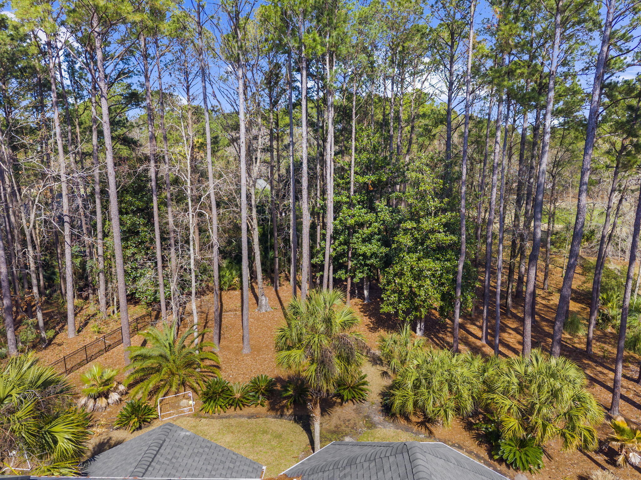 1779 Shell Ring Circle Mount Pleasant, SC 29466 - Photo 74 of 87 15-web-or-mls-DJI_20260304110227_0515_D