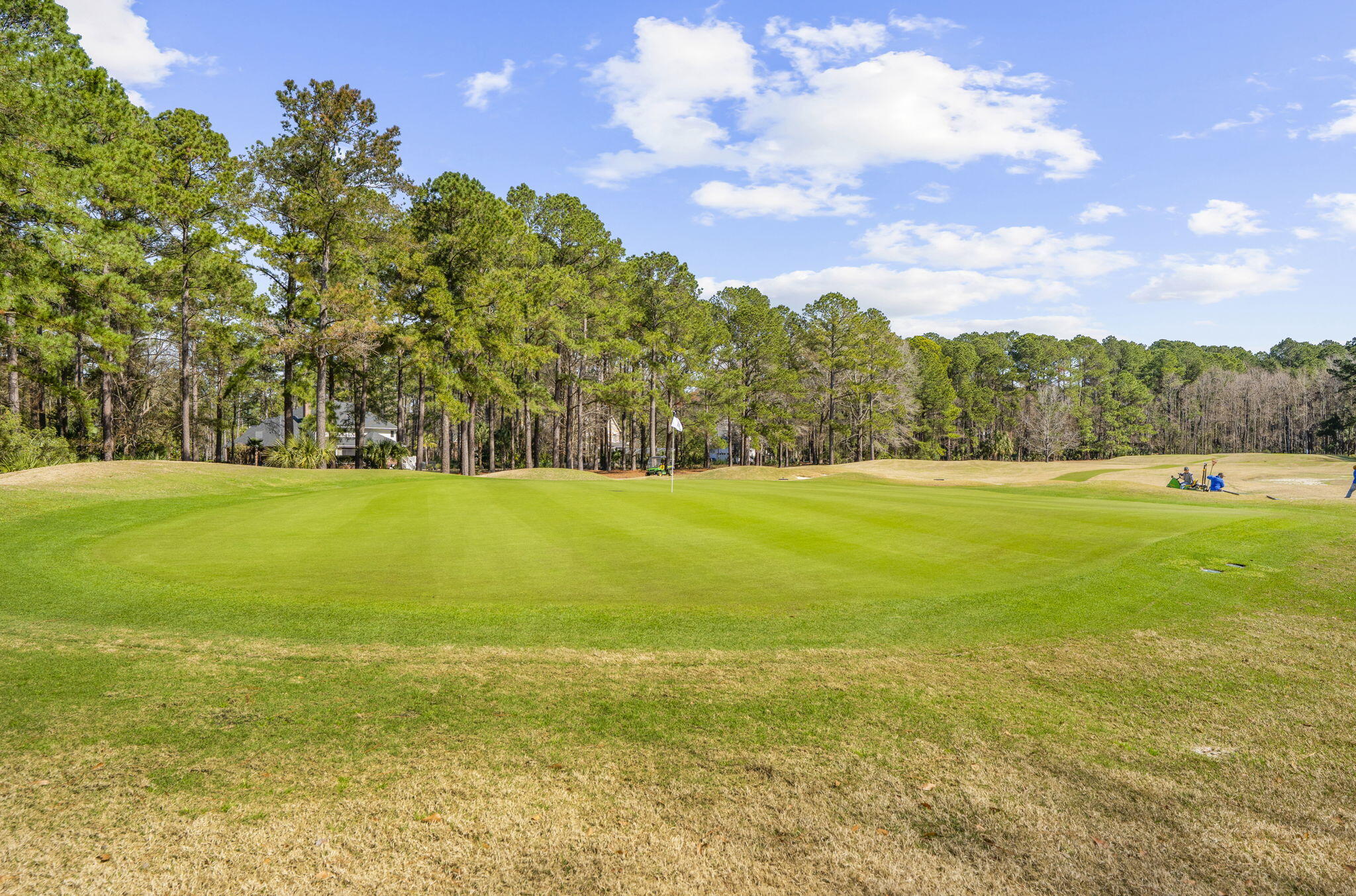 1779 Shell Ring Circle Mount Pleasant, SC 29466 - Photo 75 of 87 31-web-or-mls-DSC04151