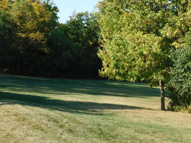 $28,500 | 664 Oak Court, Marseilles, IL 61341