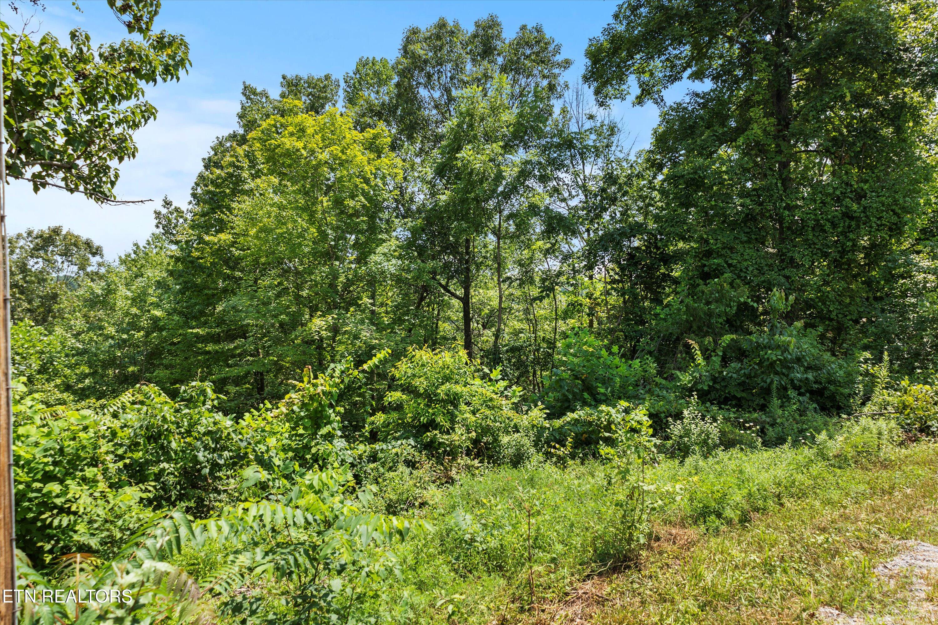 711 Jim Lee Ridge Road La Follette, TN 37766 - Photo 11 of 13 11-RS6_0008